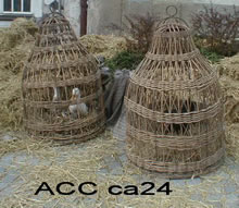 ACC CA24