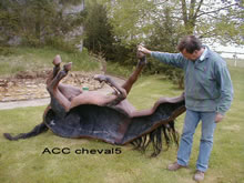 ACC CHEVAL5